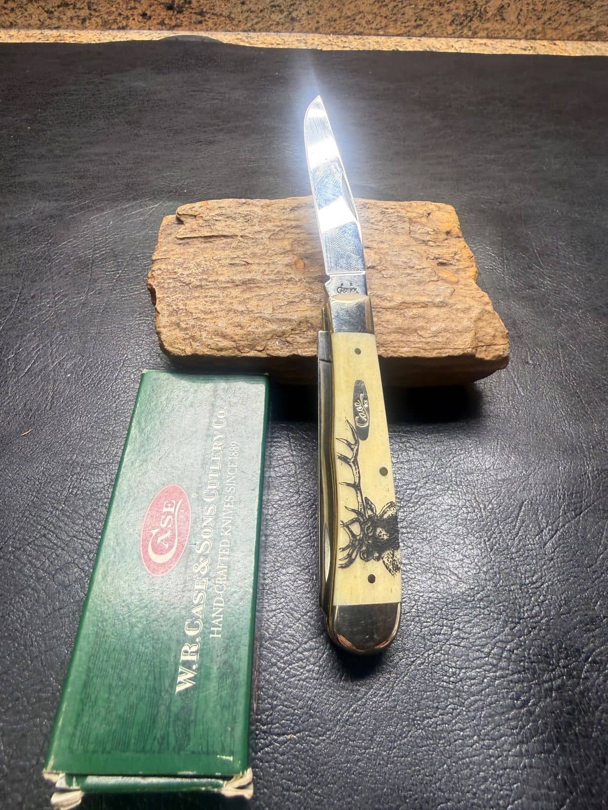Case XX 6254 SS Trapper, Natural Bone Elk Scrimshaw (05490), With Box