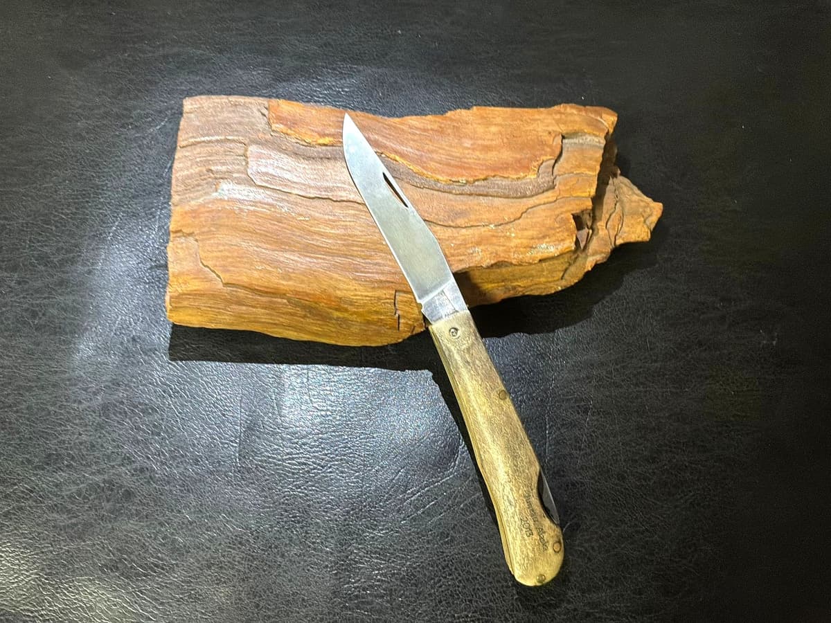 Silverstag